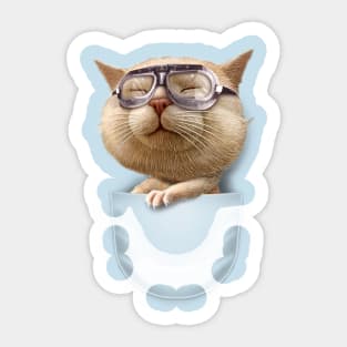 POCKET GOGGLE CAT Sticker